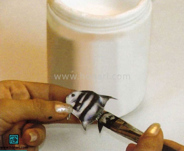 آکواریوم شیشه ای