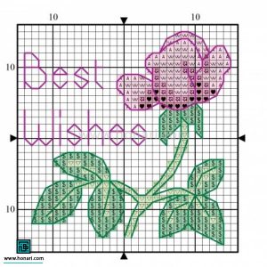 نقشه شطرنجی گل رز