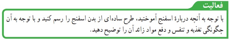 فعالیت صفحه 143 علوم نهم