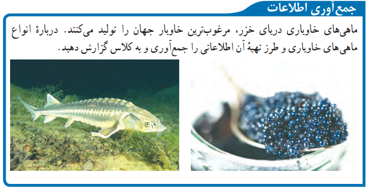 جواب جمع آوری اطلاعات درس ۱۴ علوم نهم