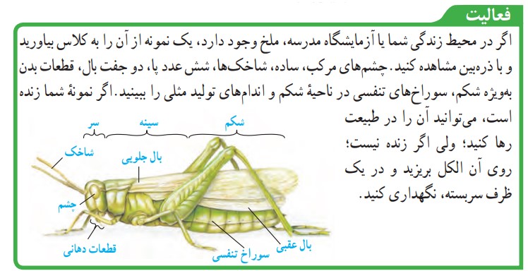 فعالیت صفحه 149 علوم نهم