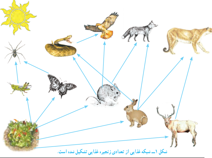 جواب خود را بیازمایید فصل ۱۵ علوم نهم