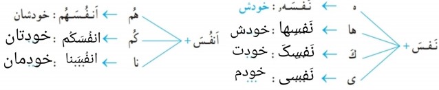 جواب فعالیت دوم درس 6 قرآن هشتم